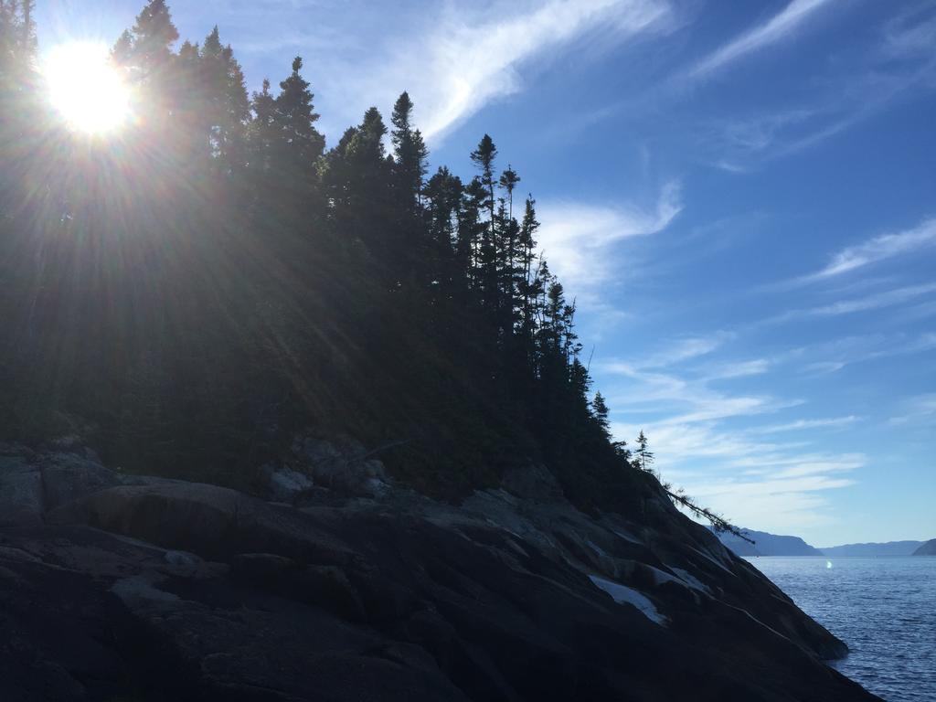 Residence Touristique Les Bouleaux Petit-Saguenay エクステリア 写真